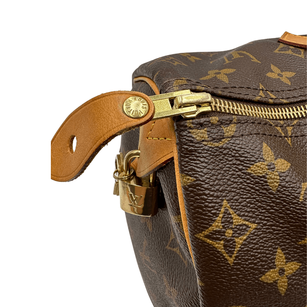 Speedy 35 Louis Vuitton