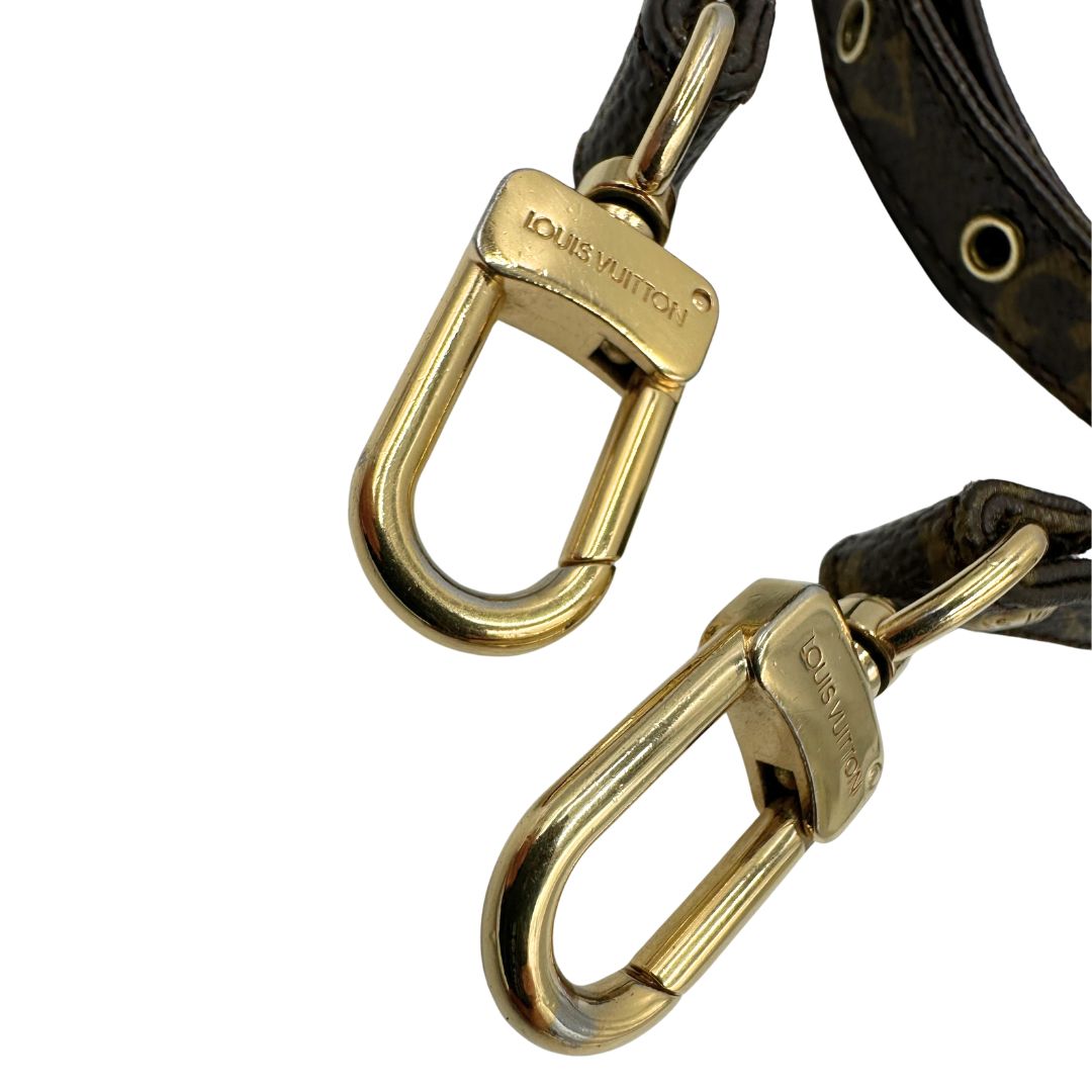 Accessorio tracolla LV in vacchetta naturale e canvas monogram, di lusso, originale, ottime condizioni.