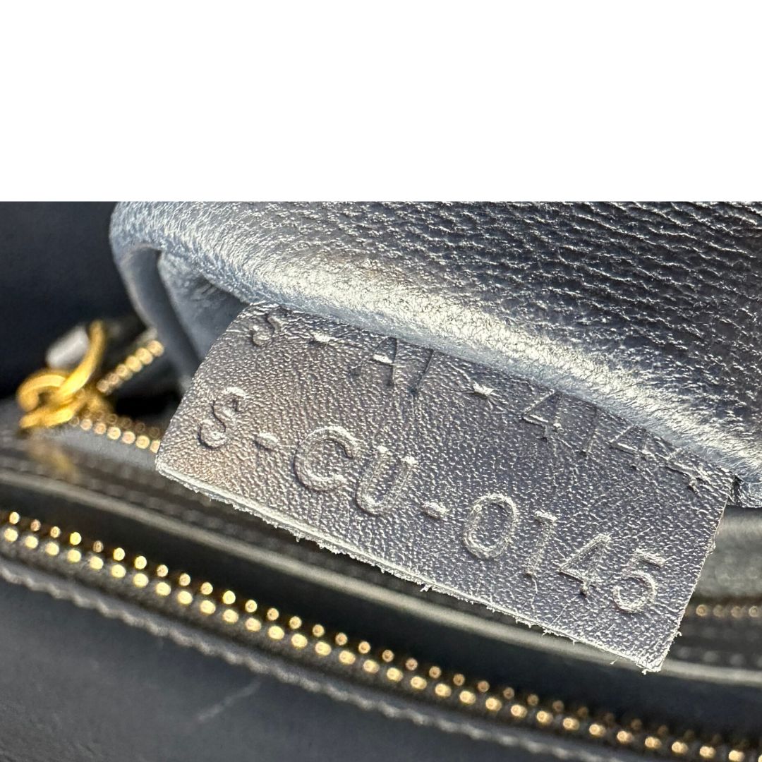 Borsa Celine Luggage multicolor