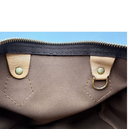 Speedy 25 Louis Vuitton monogram