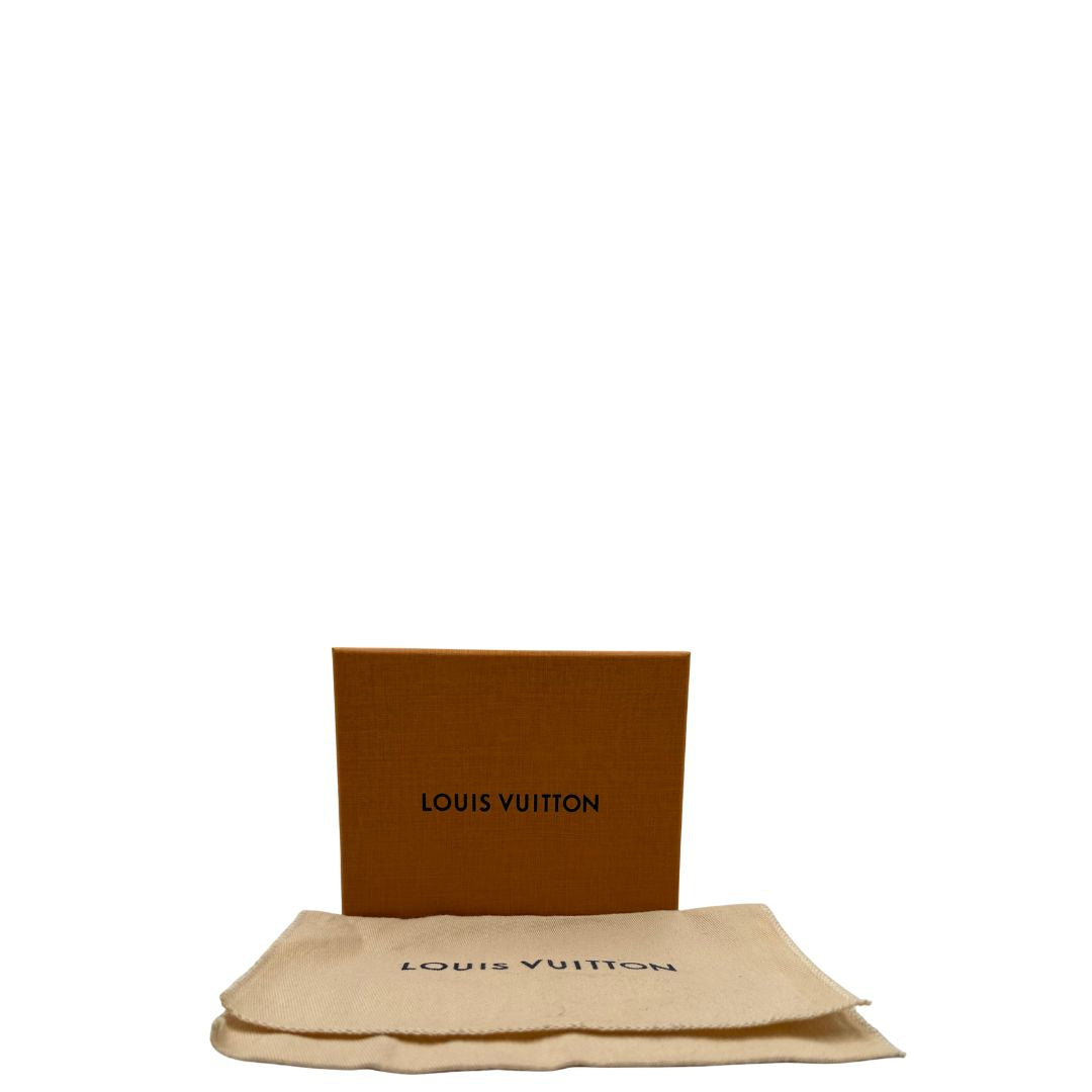 Accessorio tracolla Louis Vuitton marrone