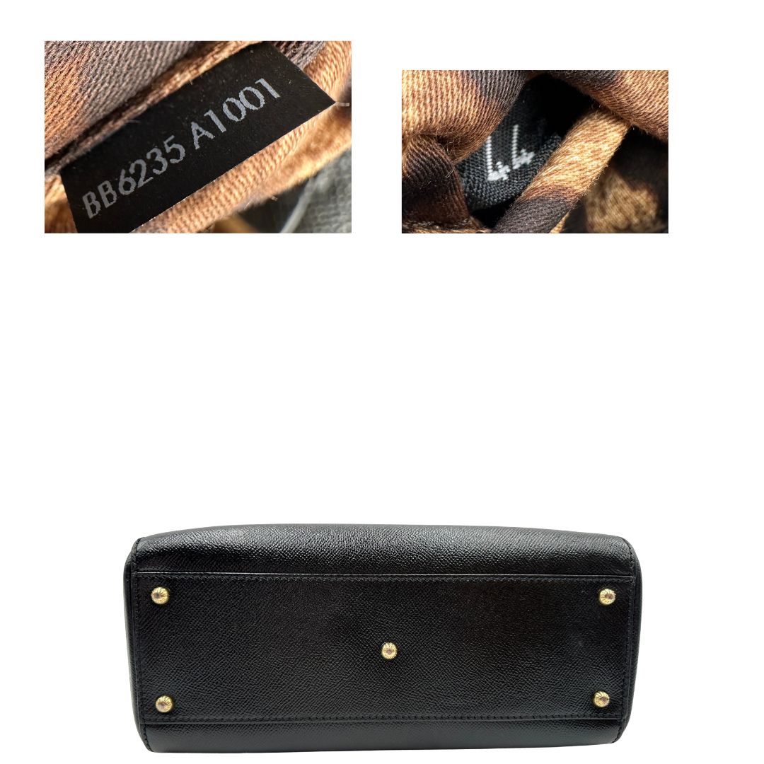 Miss Sicily Dolce & Gabbana misura grande