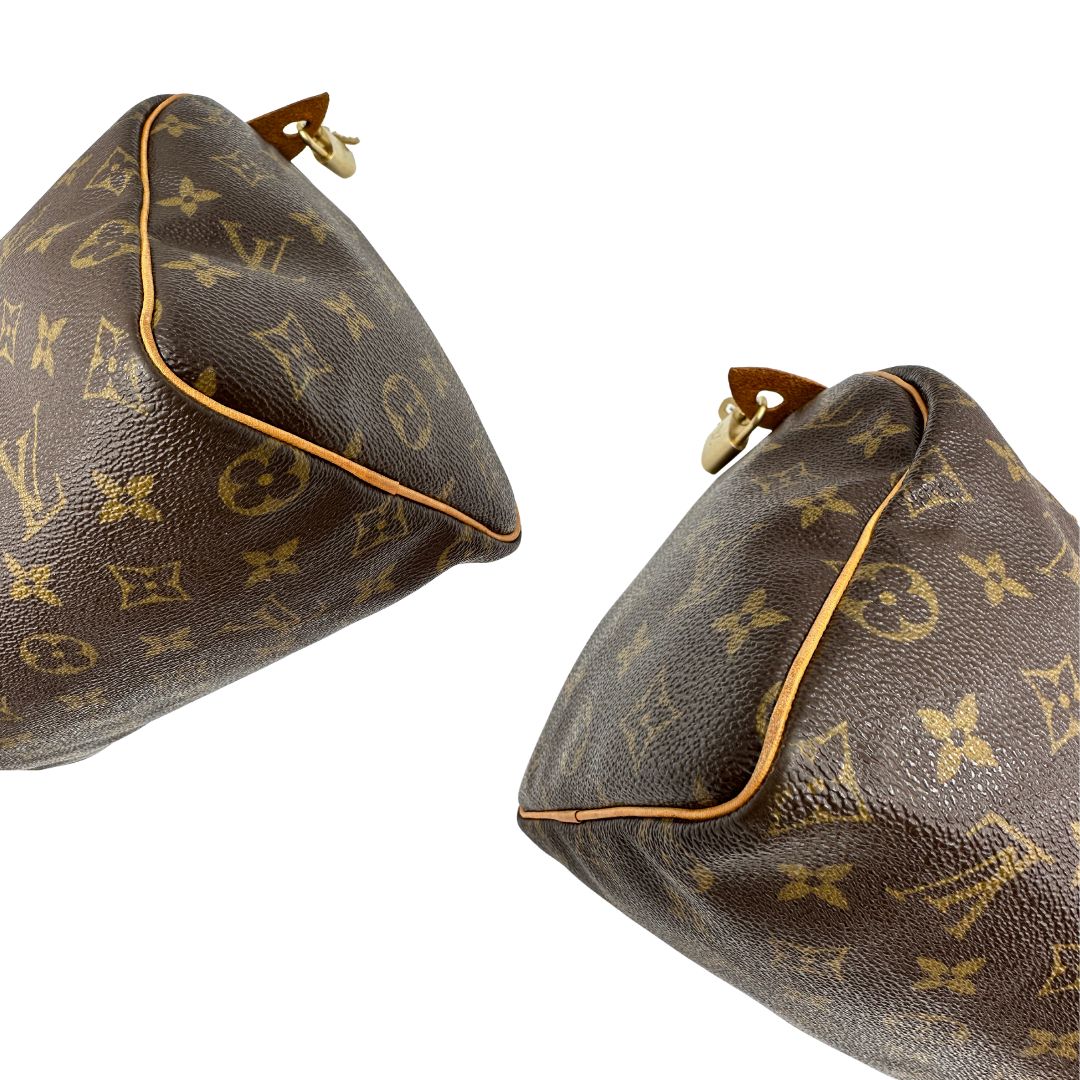 Speedy 25 Louis Vuitton monogram