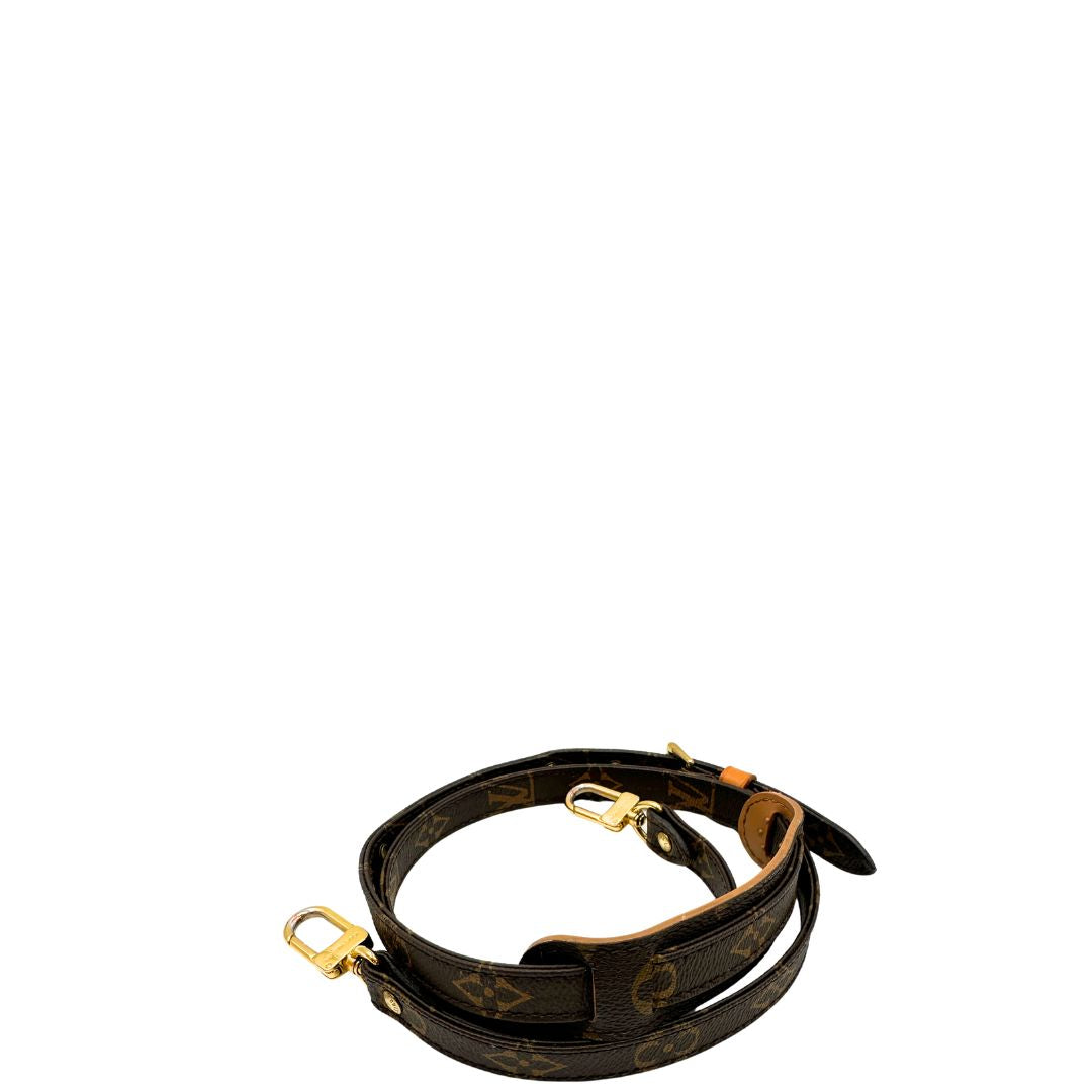 Accessorio tracolla Louis Vuitton