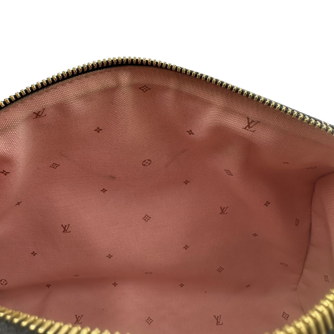 Speedy 25 Bandoulière Fall for You Louis Vuitton