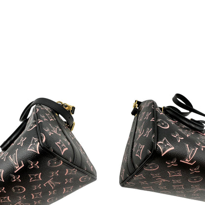 Speedy 25 Bandoulière Fall for You Louis Vuitton