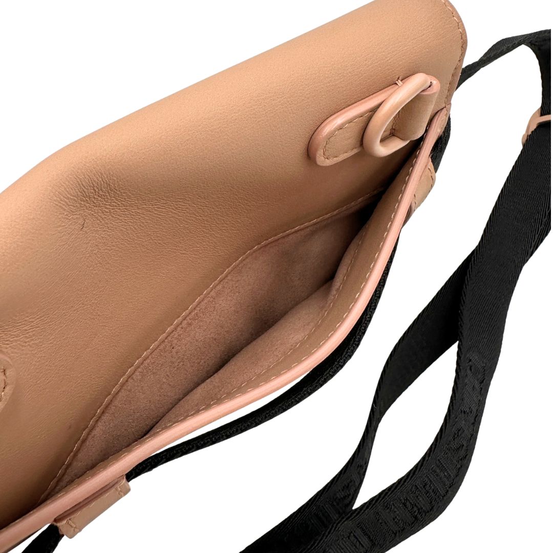 interno Marsupio Saddle Dior in pelle di vitello color cipria, di lusso, originale, ottime condizioni, usato 