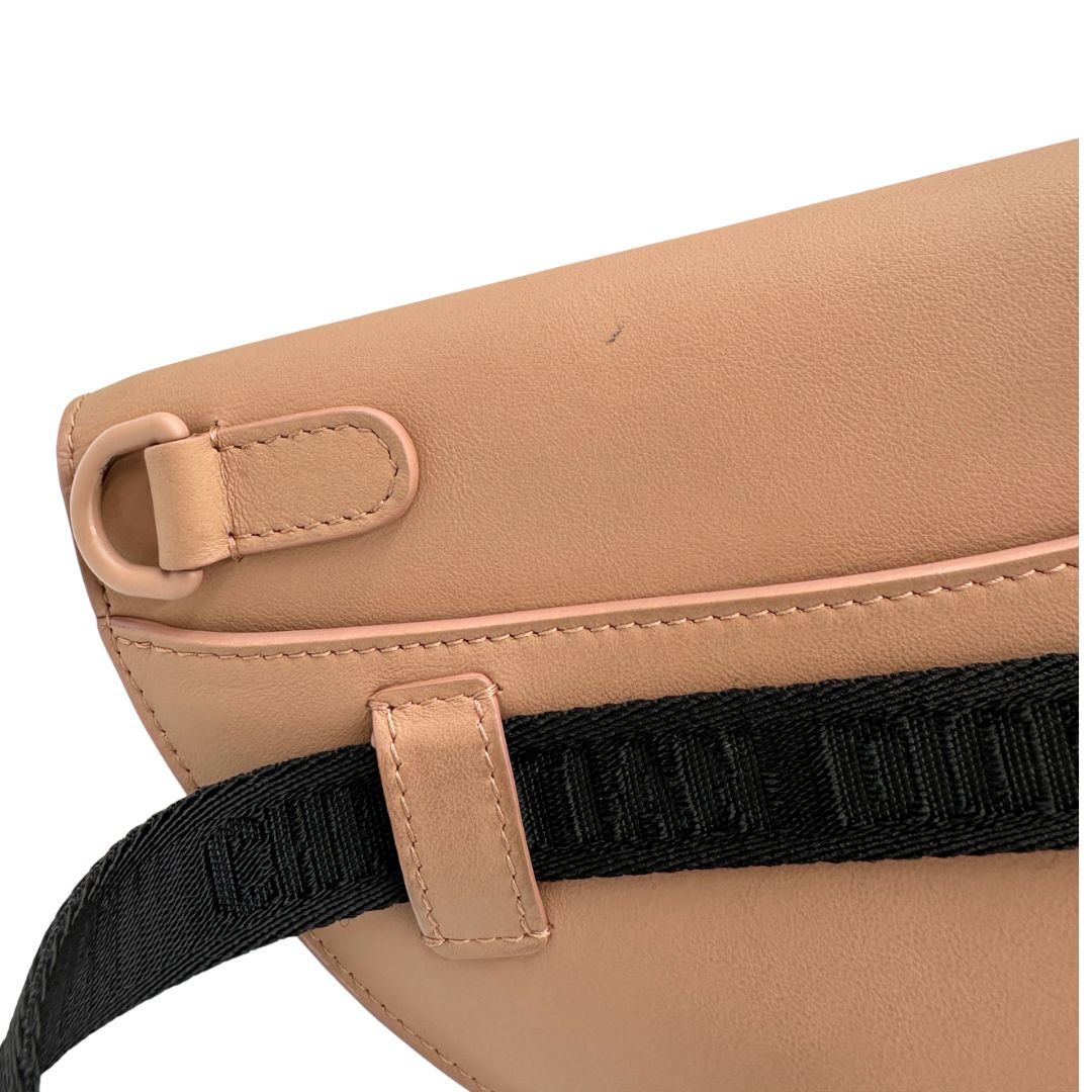 interno Marsupio Saddle Dior in pelle di vitello color cipria, di lusso, originale, ottime condizioni, usato 