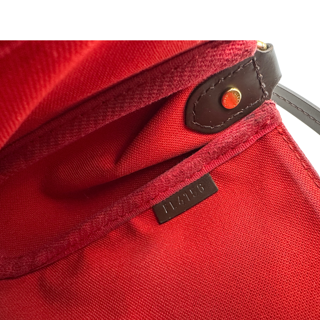 Borsa Favorite PM Damier Ébène Louis Vuitton