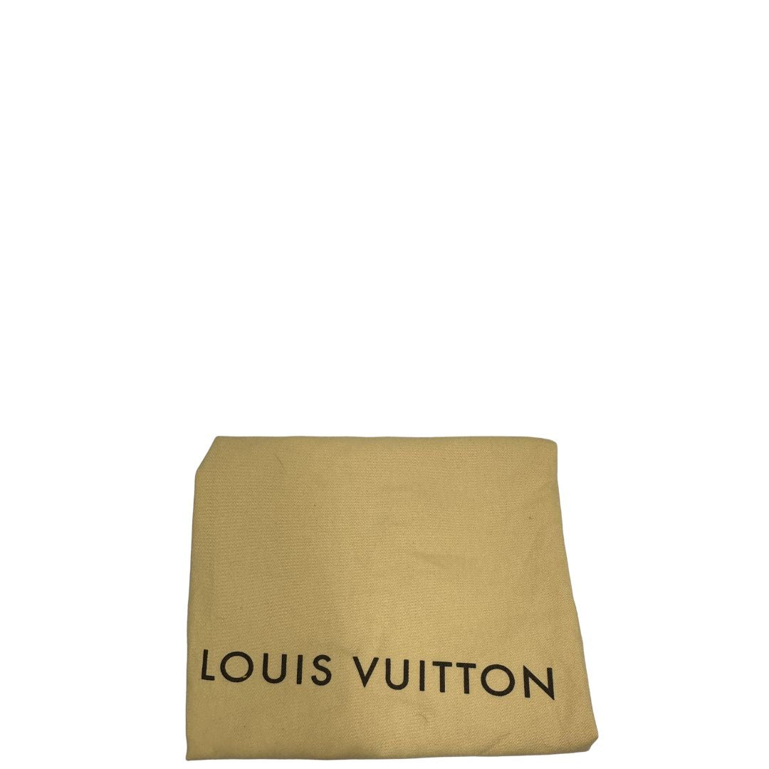 dustbag  Speedy Louis Vuitton in canvas marrone, di lusso, originale, ottime condizioni, usata 