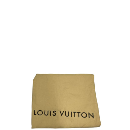 dustbag  Speedy Louis Vuitton in canvas marrone, di lusso, originale, ottime condizioni, usata 