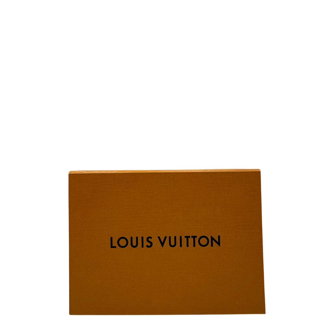 scatola  Borsa LV in canvas monogrammato marrone 