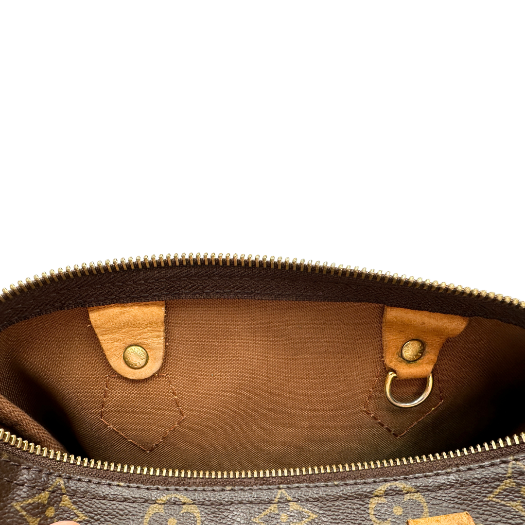 Speedy 25 Louis Vuitton