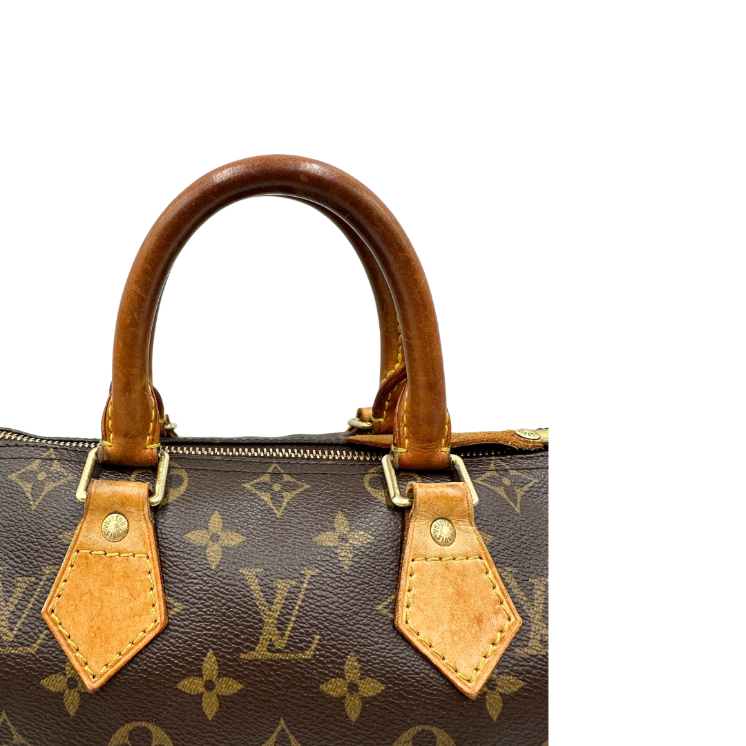 Speedy 25 Louis Vuitton