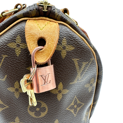 Speedy 25 Louis Vuitton
