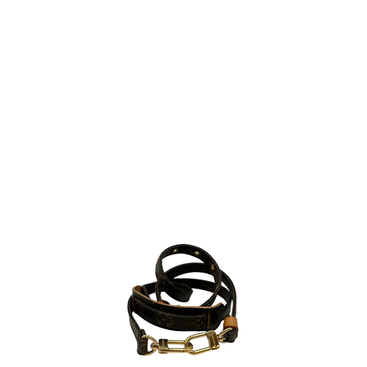 Accessorio tracolla Louis Vuitton