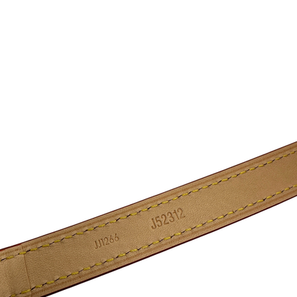 Accessorio tracolla Louis Vuitton