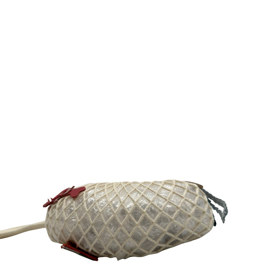 Le Pliage XS Filet Longchamp