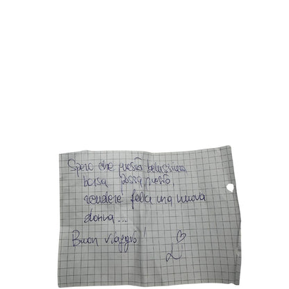 internoBorsa Falabella nella versione mini, di lusso, originale, ottime condizioni, usata. 