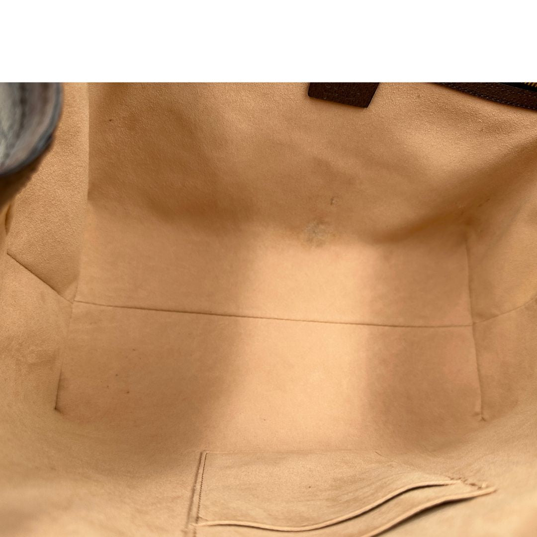 Shopping Gucci Ophidia Web