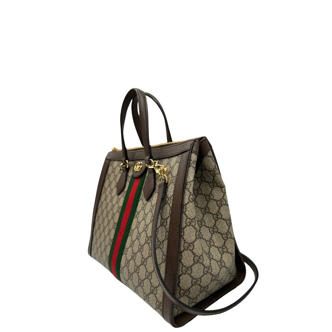 Shopping Gucci Ophidia Web