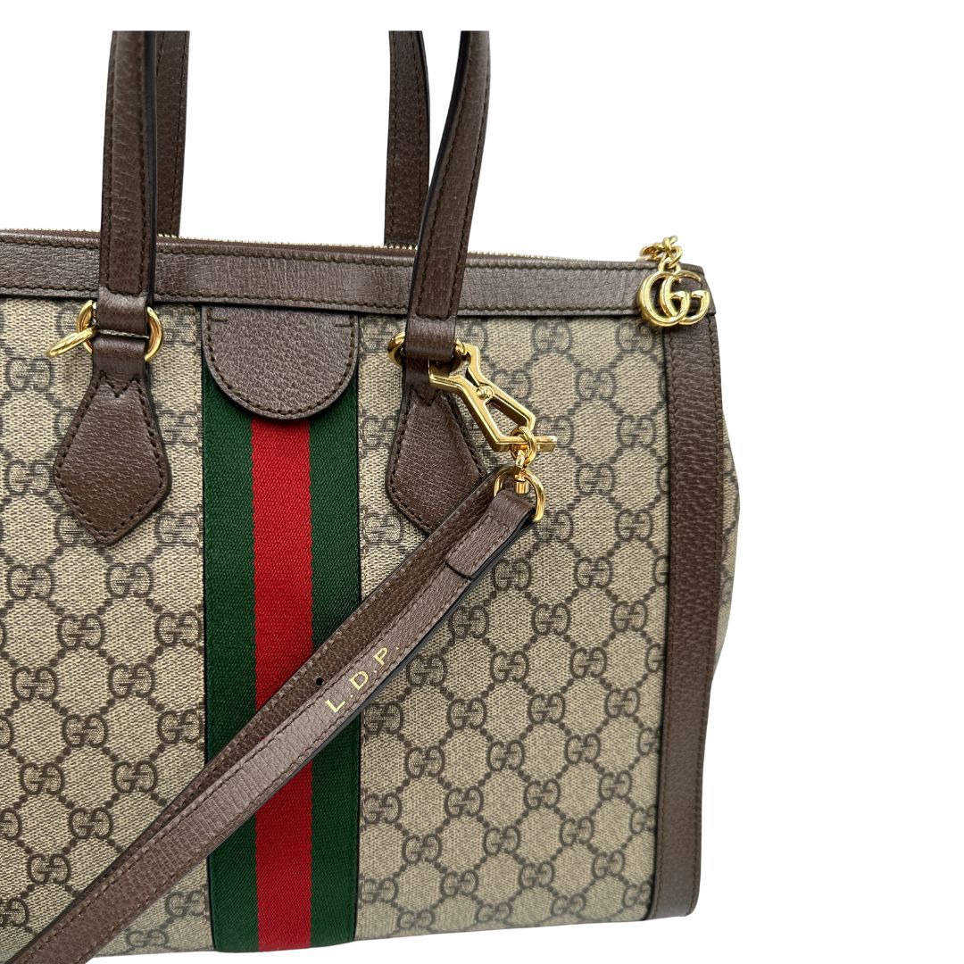 Shopping Gucci Ophidia Web