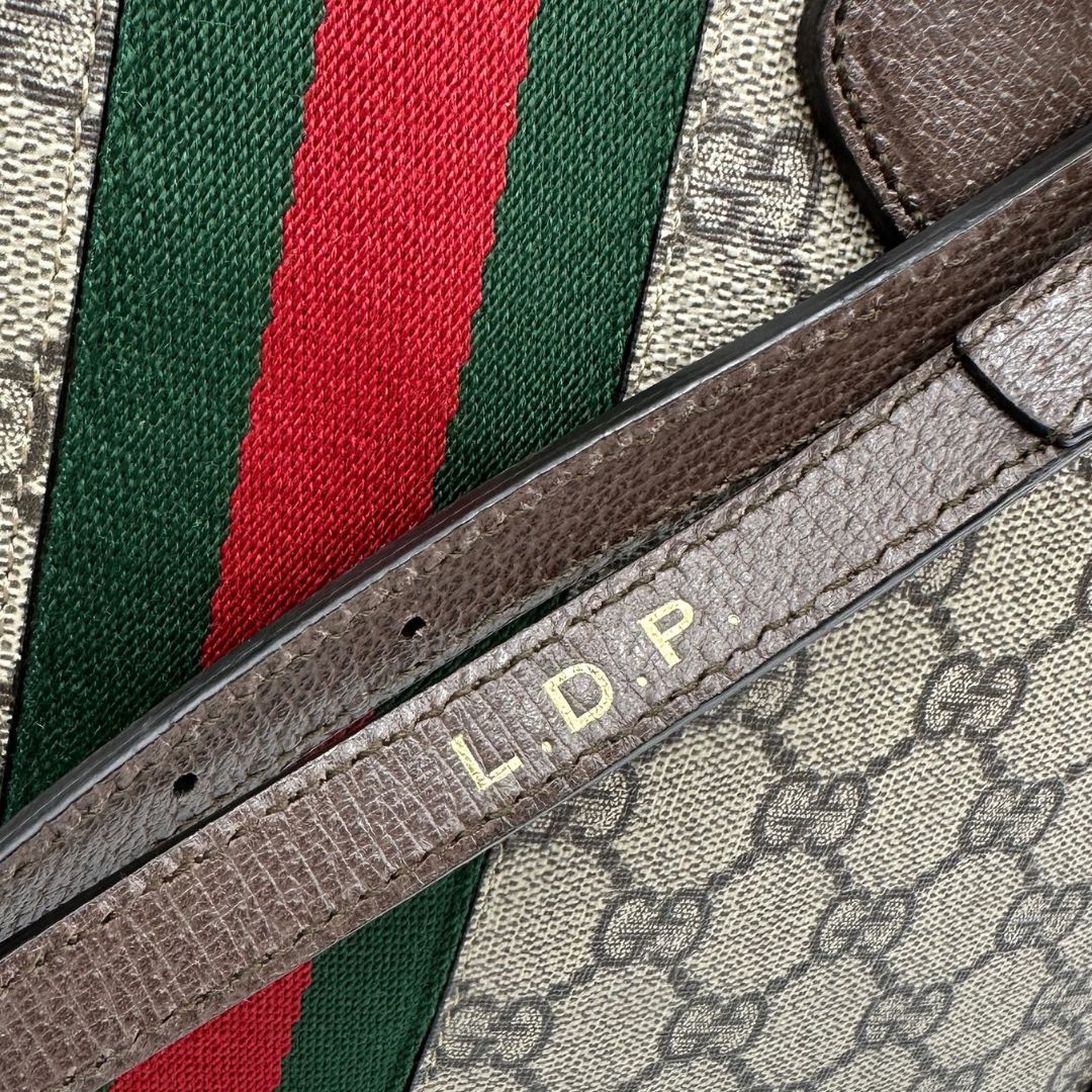 Shopping Gucci Ophidia Web