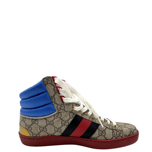 Sneakers Gucci Web num 38